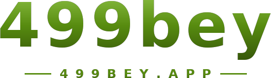 499bey logo